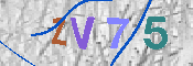 CAPTCHA-Bild